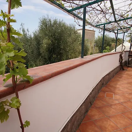 Aparthotel San Salvatore